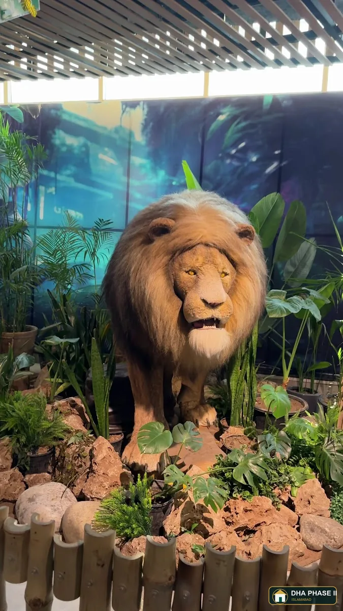 Jungle Story By Monal Group in DHA Phase 2 Islamabad — photo 4